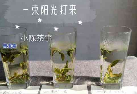 泡茶一次用多少茶叶-泡茶一次用多少茶叶合适