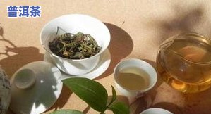 喝茶多久换一次茶叶更好？作用口感的关键因素解析