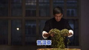 吉益堂普洱茶制作技艺详细介绍视频