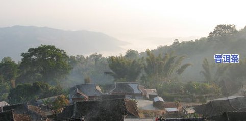 冰岛普洱茶寨子-冰岛普洱茶寨子图片