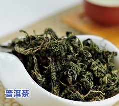 罗布麻和普洱茶哪个好-罗布麻和普洱茶哪个好喝