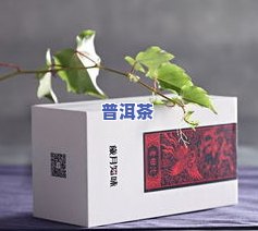 礼品盒小青柑普洱茶图片-小礼盒包装