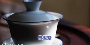 泡茶需要放多少茶叶-泡茶需要放多少茶叶合适