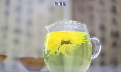 泡出来很绿的茶是什么品种？