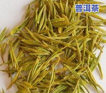 黄金芽是哪里的茶叶-黄金芽是哪里的茶叶产地