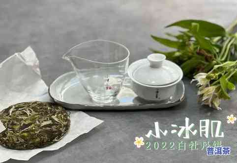 纸杯泡茶：如何确定茶叶的数量？