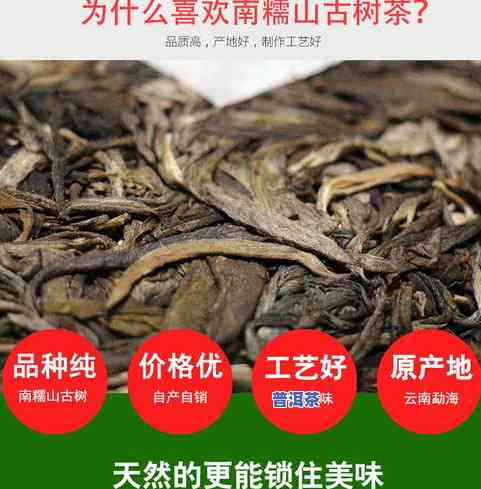 纯料古树普洱茶-纯料古树普洱茶价格