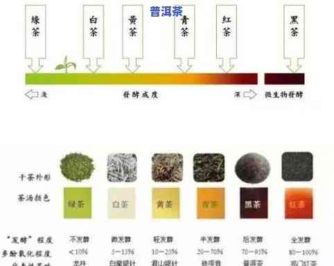 普洱茶：如何辨别好坏？看图学，视频解析，价格全览！