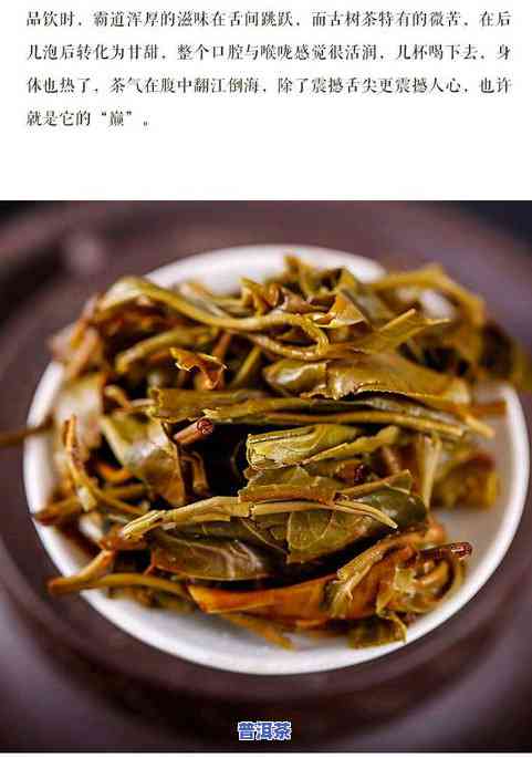 无量古树普洱茶-无量古树普洱茶生茶饼