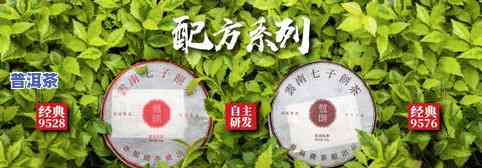 定义普洱茶-定义普洱茶配方