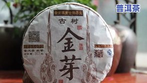 银毫普洱茶：原料来源解析