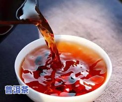 普洱生茶哪种好？口感、、品种全比较！