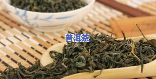 薄荷塘：哪个茶区的代表性茶叶？看图、视频一探究竟！