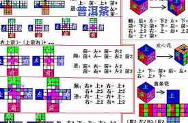 新普洱茶的香型分类表图解：详解特点与全貌