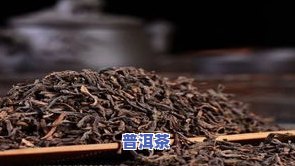 合山普洱茶-合卷普洱茶