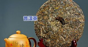 普洱热茶：冬天喝还是夏天喝？全面解析