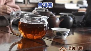 普洱热茶：冬天喝还是夏天喝？全面解析