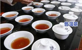 武夷岩茶哪几种好喝？深度解析不同品种口感与特点