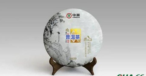 普洱茶界五朵金花图片大：高清欣赏，包括五位知名人士和7581普洱茶