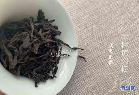 普洱茶龙骨价格表与图片全面对比：龙骨、茶骨、犇龙普洱茶价格一览