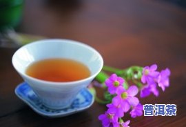 玉林茶泡哪里有卖？价格多少？附近哪里可以品尝？