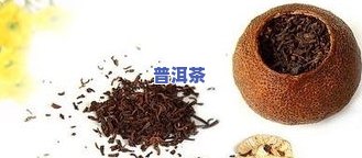 成都永德普洱茶-永德 普洱茶