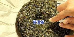 黑珍珠普洱茶冲泡方法视频教程详解