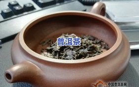 辛亥百年普洱纪念茶价格：普洱、生茶2011年价格全览及纪念价