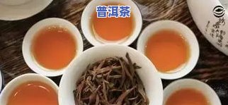 布乐山的普洱茶怎么样？口感、品质怎样？值得购买吗？- 云南布乐食品官网