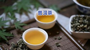 普洱茶视频宣传：呈现独特的口感与文化，品味历史沉淀的韵味。