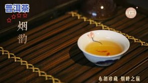 普洱茶视频宣传：呈现独特的口感与文化，品味历史沉淀的韵味。