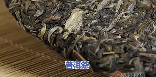 港口普洱茶-普洱茶港仓