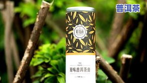 即溶普洱茶珍速溶茶：可否用来煮茶叶蛋？价格多少？有何功效作用？