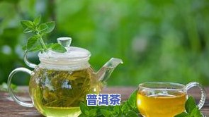 女性更佳饮品：最适合女性喝的茶叶种类与白茶比较，揭秘减肥茶排行榜之一，哪些茶叶最适合女性饮用？