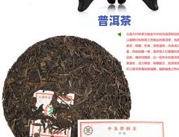 蓝印弯弓普洱茶-蓝印普洱茶价格