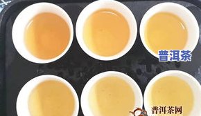 普洱茶金芽茶饼价格、图片与介绍