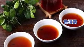 昆明的普洱茶叶全览：知名、优质好茶一网打尽！