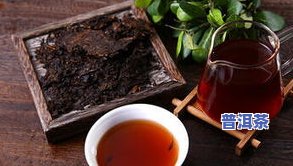 很碎的普洱茶能喝吗？有吗？——真实图片解析