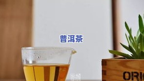 如何辨别真正的普洱茶：好坏、真假全攻略