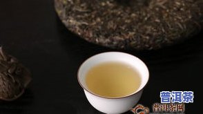 普洱茶风味-普洱茶风味轮