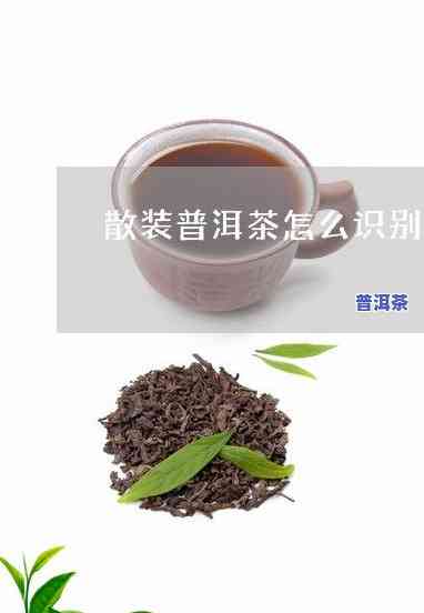 【云南普洱茶官网】精华推荐，「【云南普洱茶官网】精华推荐」：品味云南特色，探索普洱茶文化