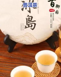 古树普洱茶的功效：全面解析其作用与好处