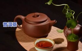 普洱茶用什么壶泡好呢视频-普洱茶用什么壶泡好呢视频讲解