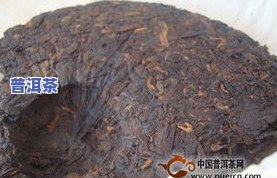 像小石块一样的茶叶是什么品种？是哪种牌子的？特性如何？