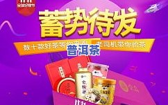 传世茶典礼品装：经典茶叶，京东热销，限时特价！