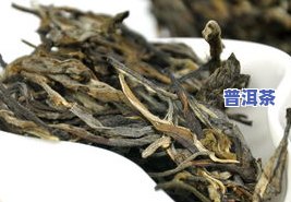 冰岛的普洱茶质量怎么样？探究其口感、香气与产地特点