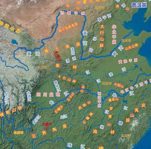 普洱茶冰岛地界：位置、海拔与价格全揭秘