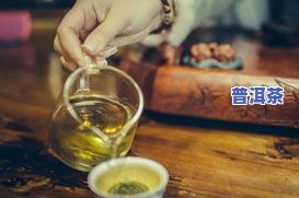 广东人常饮的菊普茶：品种、特点及饮用方法全解析