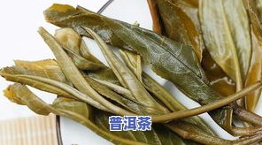 普洱茶红梗叶怎么来的-普洱茶红梗红叶