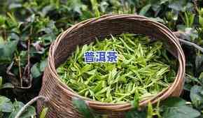 老班章茶膏批发厂家-老班章茶厂直销